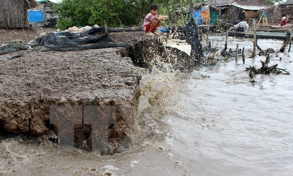 Part of the coastal system is in an extremely bad condition in Song Doc town, Tran Van Thoi district. Photo: VNA