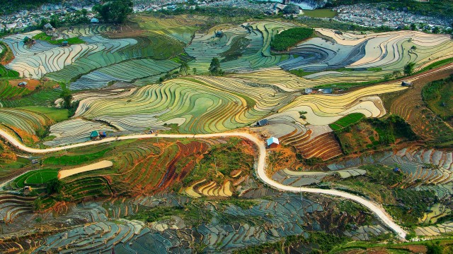 01-Terraced rice fields