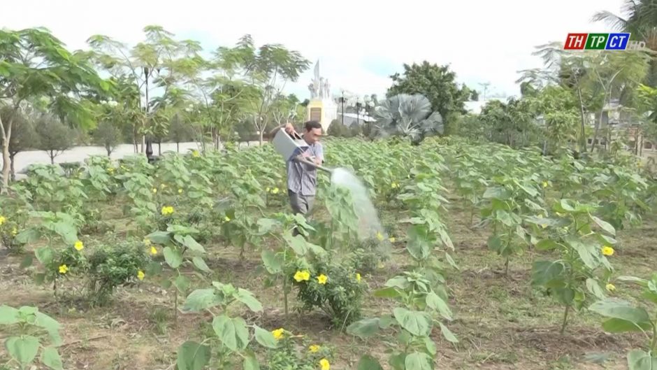 Cái Răng begins activities for Tết of People and Army in 2021 – The ...